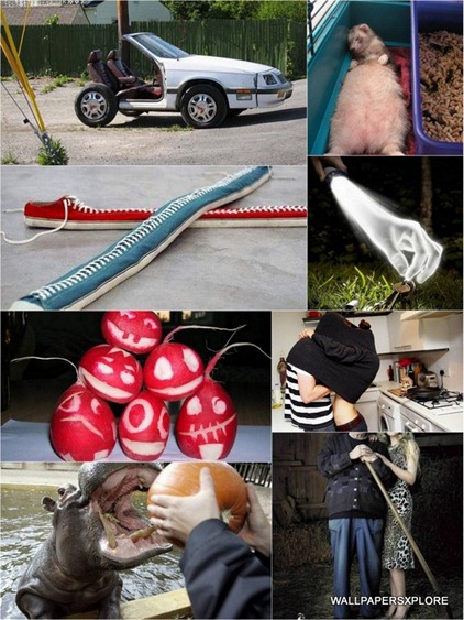 100 World Best Funny Photos Collection { SET-19 }