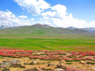 Deosai Plateau Pakistan Wallpapers