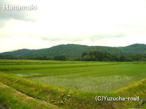 白金豚の豚舎周りの田園風景