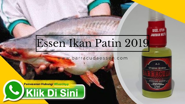 Essen Ikan Patin Paling Ampuh