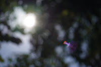 Carl Zeiss Makro-Planar 1:2.8 f=60mm T* AEJ　絞り:F2.8