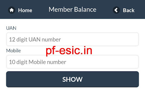 m-epf Member balance