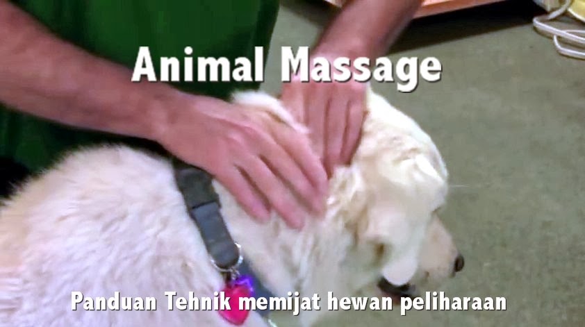 Kirara Shop - Animal Massage technique Panduan memijat hewan 