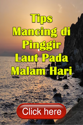 Tips Mancing di Pinggir Laut Pada Malam Hari