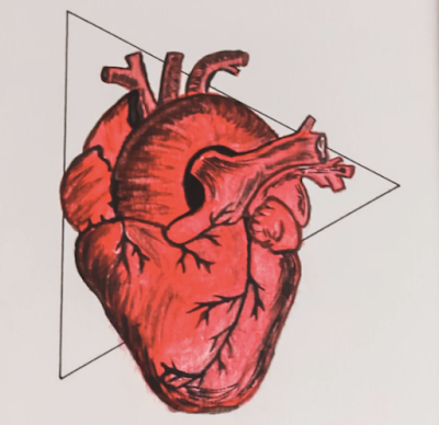 Drawing of a heart [organ] (Credit: Waseem Khan/Unsplash)