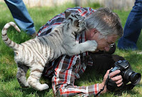 Fotos de encuentros entre fotógrafos y animales