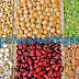 Legumes