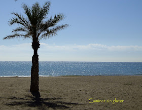 PALMERA EN LA PLAYA DE SAN JUAN