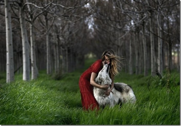 A verdade sobre a história de chapuzinho vermelho e o lobo mal 2