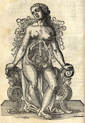 pregnant woman anatomical woodcut - Rueff 1580
