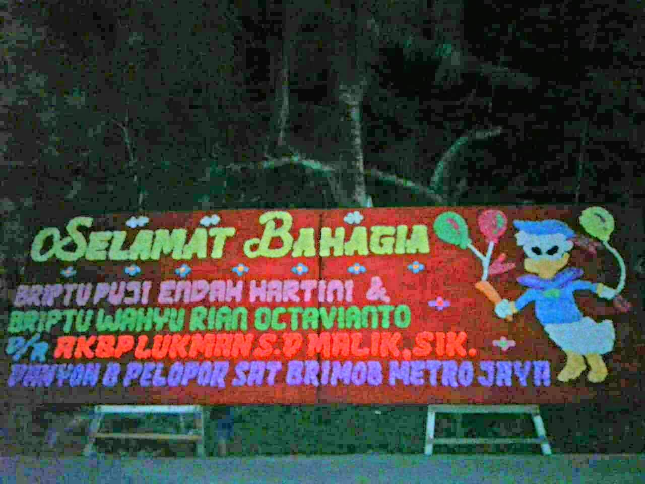 bunga-bengkulu