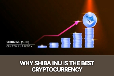 Why Shiba Inu Is The Best Cryptocurrency