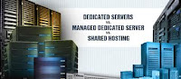 Shared Hosting Vs Dedicated Hosting