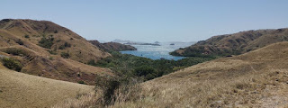 Isla de Rinca o Rinca Island, Parque Nacional de Komodo. Indonesia.