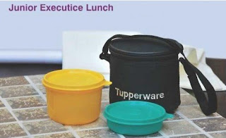 Tupperware Junior Executive Lunch Box