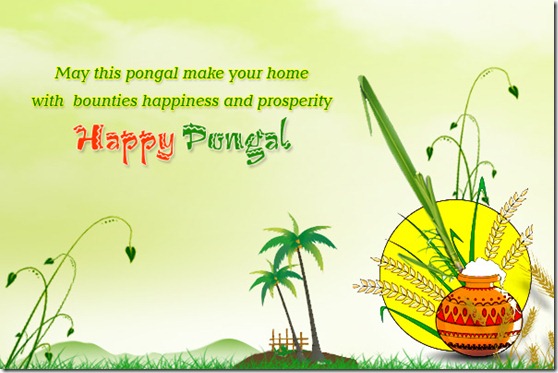 pongal7