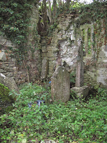 headstones at the Castletown Conyers cemetery in the Catholic parish of Ballyagran in County Limerick