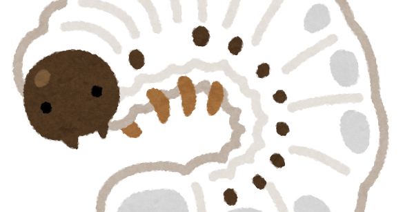カブトムシの幼虫のイラスト かわいいフリー素材集 いらすとや カブトムシの幼虫のイラスト かわいいフリー素材集 いらすとや