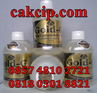 Jual Jelly Gamat Gold G Asli Original Surabaya Sidoarjo