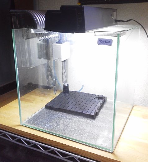 30センチ四方の海 水槽のセッティング