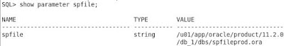 Command to check database is running through spfile