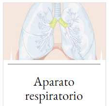  aparato respiratorio
