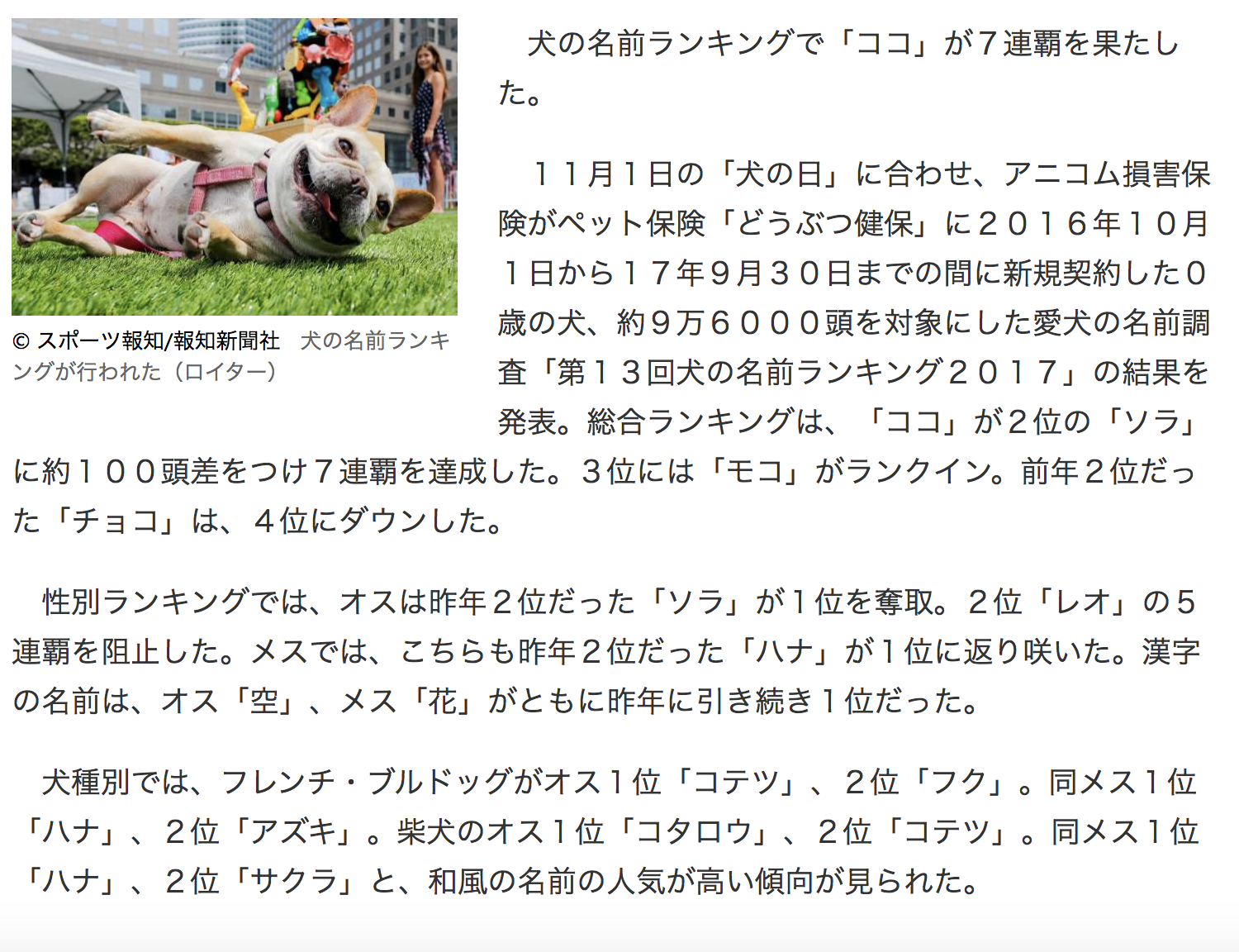 犬 名前 和風 犬に和風な名前を オスメスに似合う漢字や和菓子のネーミング