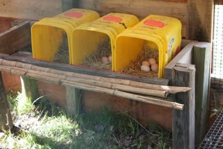 ... post on how to build a chicken coop or house talking about building