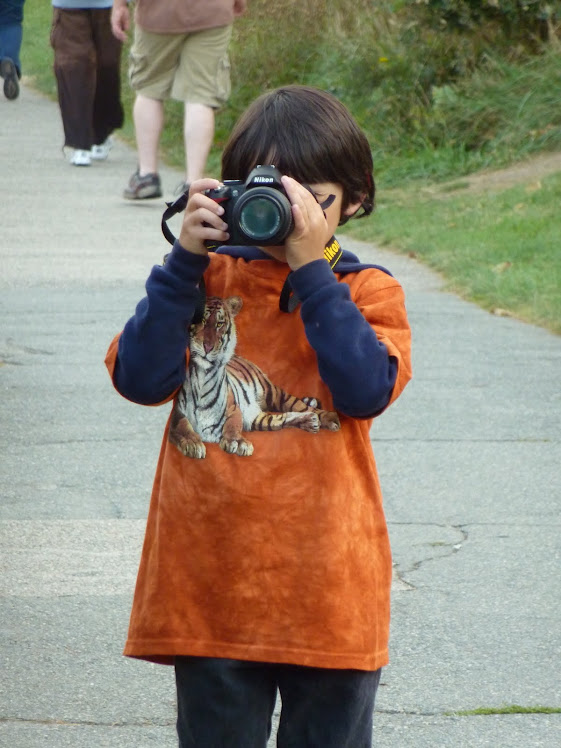 budding photographer?