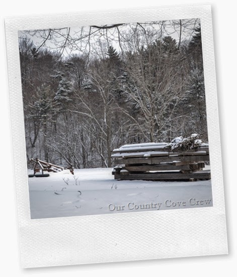 winter scenery (1 of 1)-19