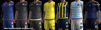 Fenerbahçe S.K. kits 2015-2016