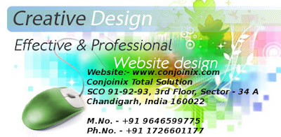 Web Designing in Chandigarh