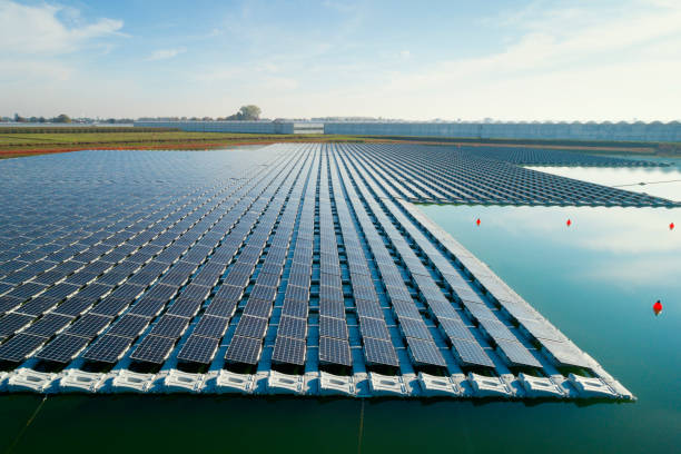 Tenders: Warming of activity in India's floating solar energy market