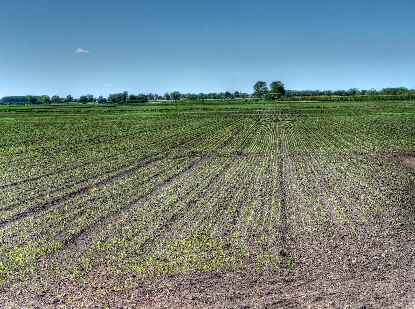 P1100973_67_68_69_70_71_72_tonemapped.jpg