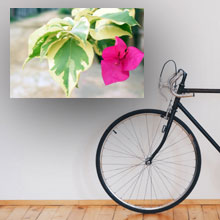 Shop Flowers Canvas Print, Wall Art, online and instore inPort Harcourt, Nigeria
