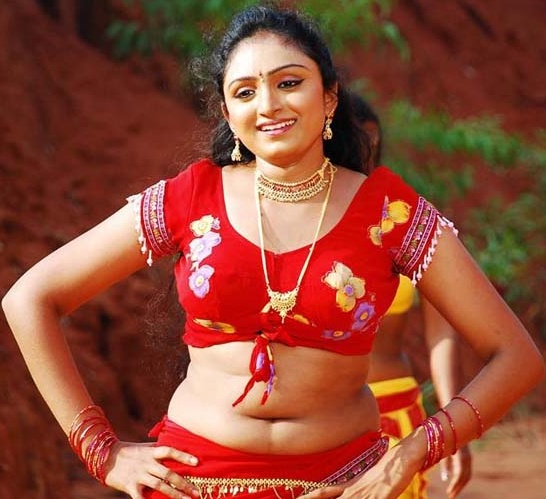 South Indian  Actress Vahida Hot Stills navel show