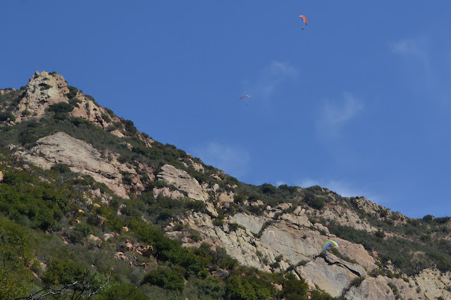 paragliders drifting downward