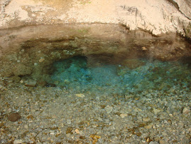 Rick's Spring