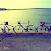 Tumblr Beach Photography HD wallpaper (500 x 353 )