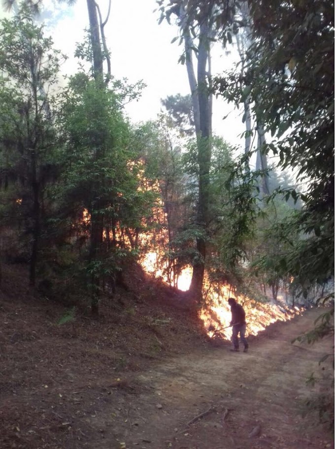 TRABAJAN COMBATIENTES PARA EXTINGUIR FUEGO EN VALLE DE BRAVO