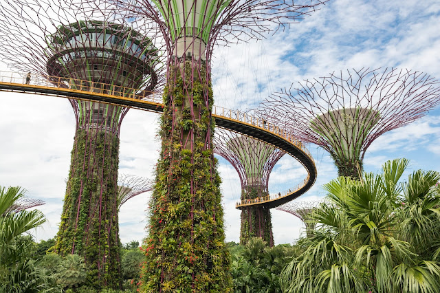 singapur, barvy, budovy, cestování, svět, gardens by the bay