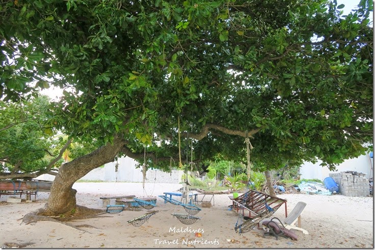 馬爾地夫居民島Mahibadhoo- Amazing Guesthouse (30)