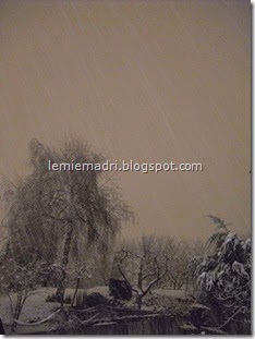 dicembre 01 020