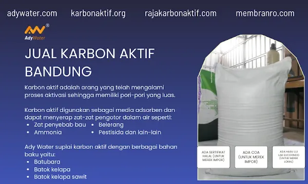 karbon aktif, karbon aktif adalah, karbon aktif aquarium, fungsi karbon aktif, harga karbon aktif, karbon aktif untuk filter air, karbon aktif atau arang aktif adalah, filter karbon aktif, karbon aktif filter air, apa itu karbon aktif, cara membuat karbon aktif, karbon aktif dalam air berfungsi untuk, karbon aktif filter, arang sebagai karbon aktif dapat menyerap, harga karbon aktif untuk filter air, jual karbon aktif, contoh karbon aktif, fungsi karbon aktif pada filter air, fungsi karbon aktif untuk filter air, karbon aktif terbuat dari apa, manfaat karbon aktif, masker karbon aktif, msds karbon aktif, rumus kimia karbon aktif, struktur karbon aktif, harga karbon aktif per karung, harga karbon aktif per kg, karbon aktif norit, kegunaan karbon aktif, cara penggunaan karbon aktif, harga karbon aktif untuk aquarium, kulit singkong sebagai karbon aktif, laporan praktikum adsorpsi karbon aktif, massa jenis karbon aktif, norit karbon aktif,