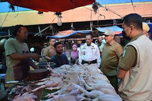 Asra Minta Pemerintah Aceh Membangun Pabrik Pakan Ayam Mini