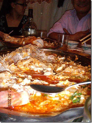 DSCN2730 DSCN2730