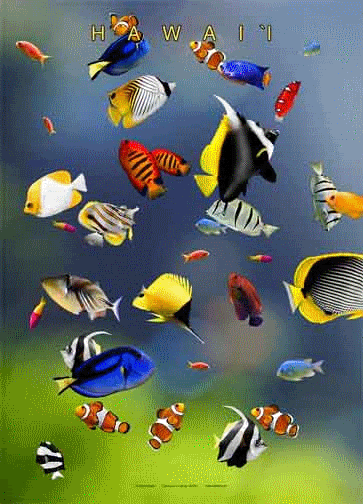 Kumpulan Animasi Bergerak Ikan