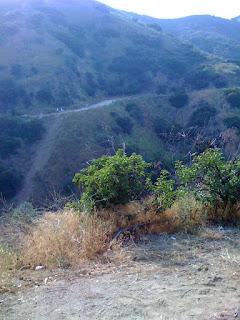 View of Runyon Canyon Off leash dog trail in Los Angeles