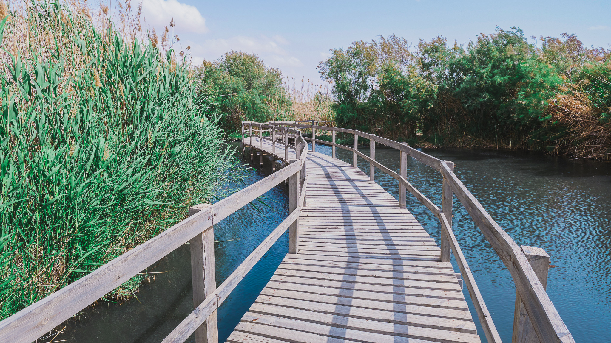 Azraq Wetland Reserve in Jordan