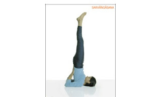 sarvangasana